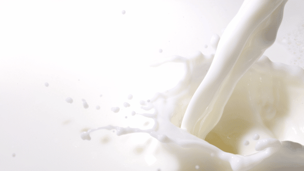 Court finds Lactalis Australia breached Dairy Code of Conduct