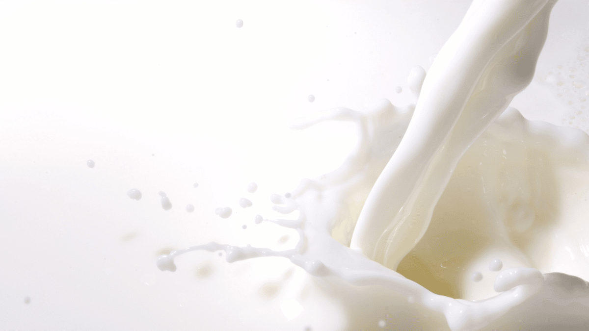 Court finds Lactalis Australia breached Dairy Code of Conduct