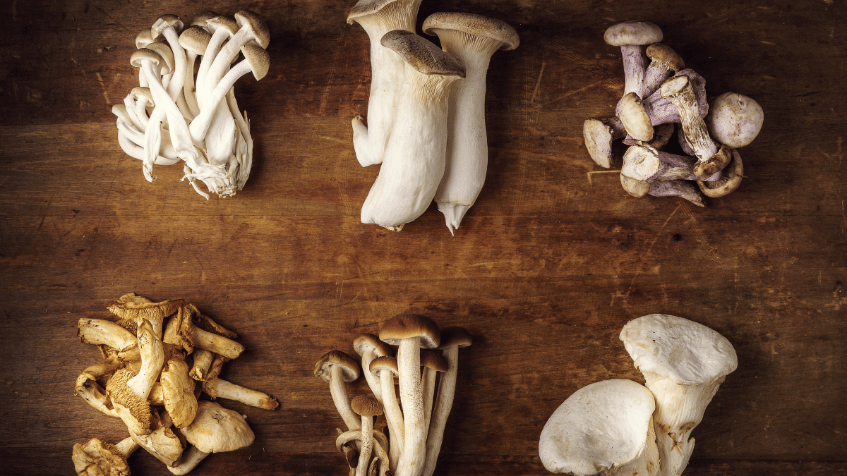 KHQ Lawyers - When is food not a food? The mushroom case study